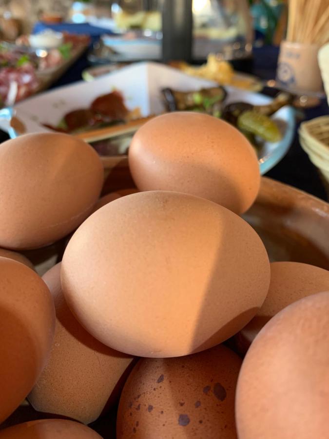 Oasi Muru Idda 布多尼 外观 照片